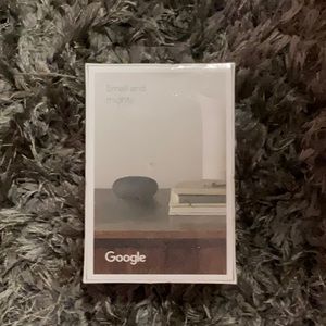 2nd Generation Google Nest Mini